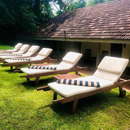 Ekho Sigiriya Hotel Exterior foto